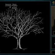 CppCon 2016 From Numerical Cosmology To Efficient Bit Abstractions For The Standard Library