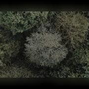 God S Creation Daniel Mp3 Slowed Reverb 1 Hour Loop Rain