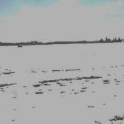 Huge Tracker Jump Rfn Diesel