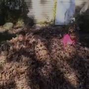 Leaf Explosion