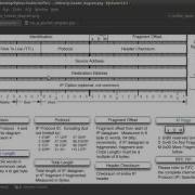 Учебное пособие по снифферу сетевых пакетов Python 5 Распаковка данных ICMP и TCP