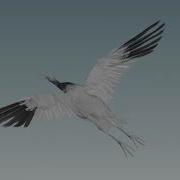 Houdini King Feather Toools Feather Character R D