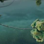 Harvard MCB BioVisions Lab The Inner Life Of The Cell Narrated