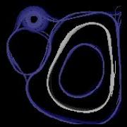 Slime Mold Python Project
