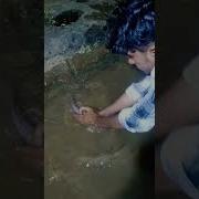 Night Fishing Fishingvideo Shortvideo
