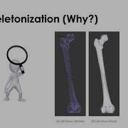 Segmentation Vs Skeletonization