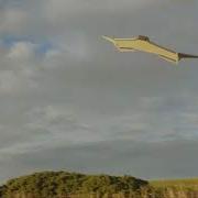 The Morphing Wing V6 FLYING WING PROTOTYPE