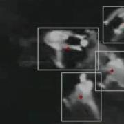 Motion Detection Using GMM Background Subtraction