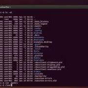 Linux Permanently Set Environment Variables