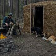 Building A Warm Leaf Shelter Secret Primitive Bushcraft In The Autumn Forest