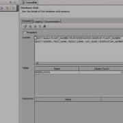 Simulate A Database Using IBM Rational Test Workbench