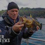 Jeremy Wade S UNEXPECTED And ACCIDENTAL Catches Part 2 River Monsters