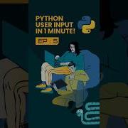 5 How To Take User Input In Python Rate Code Pythonprogramming Ratecode Coding