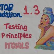 7 Testing Principles 7 Nguyên Tắc Testing Cơ Bản ISTQB Foundation Chapter 1 Part 3 ITgirls