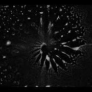 Physarum Simulation No 8