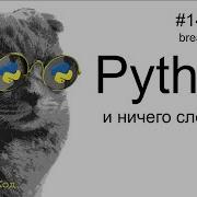 While Break Continue Python для начинающих UPD Профессор код