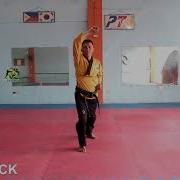 Taekwondo Basic Movements