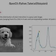 Image Histogram OpenCV Python Computer Vision Malayalam Tutorial Part 17
