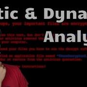 Learning Malware Analysis On WannaCry Static Dynamic