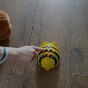 Bee Bot Programmable Robot
