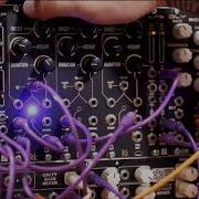 RANDOM SEQUENCER Rat King Modular 8 16 Step And Full Random Sequencer Module Demo