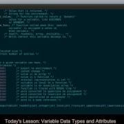 Variable Data Types And Attributes