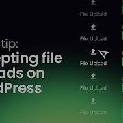 Gravity Forms File Upload Field Configuration File Types Size Limits