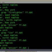 BASH Lesson 3 Grep And Cut Commands