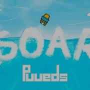 Soar Puueds