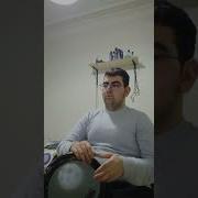 Koca Dünya Arpa Buğday TANELER