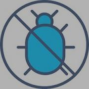 Front End Development HTML Extra Topics 037 Bugs Errors And Debugging