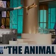 I Do Not Want To Hold It STEVE HARVEY