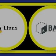 When To Use Bash And When To Use Perl Python Ruby