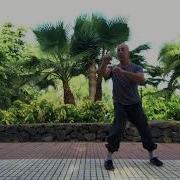Eight Fists Master Igor Turchin