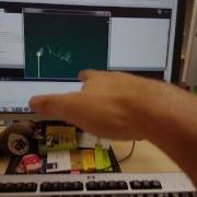 Processing And Leap Motion Butterflies