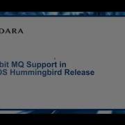 Hummingbird Release Demo Part 1
