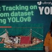 Object Tracking Using YOLOv8 On Custom Dataset