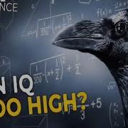 Our BRAINS Are SHRINKING Please STOP AN IQ TOO HIGH HE HID FOR 30 YEARS