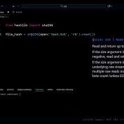 How To Generate A File Hash In Python SHA256 In 1 Line