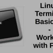 Linux Terminal Basics 2 Working With Files
