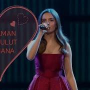 Ava Yaman KARABULUT Ela Mana