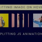 Splitting Image Animation On Hover Splitting JS Tutorial