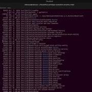 Linux Privilege Escalation Awsome Script