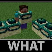 WAIT WHAT Minecraft 34
