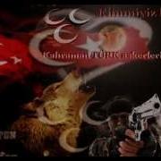 ALI KINIK KURTLAR SOFRASI 2012