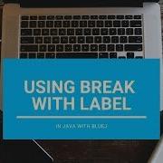 Using Break With Label Core Java With BlueJ