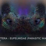Amazing Electron Microscope Images Part 4