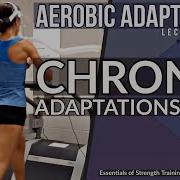 Adaptations To Aerobic Training CSCS Chapter 6