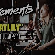 Movements Daylily Drum Cam LIVE