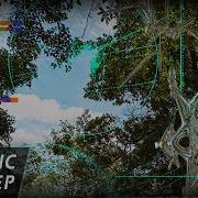 Subtronics FRIENDS Feat Linney Melodic Dubstep